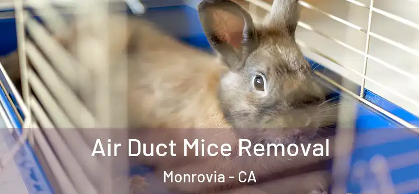  Air Duct Mice Removal Monrovia - CA