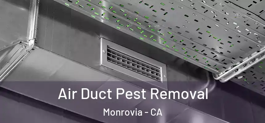 Air Duct Pest Removal Monrovia - CA