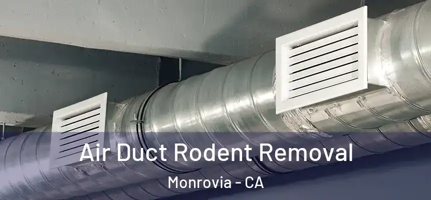 Air Duct Rodent Removal Monrovia - CA