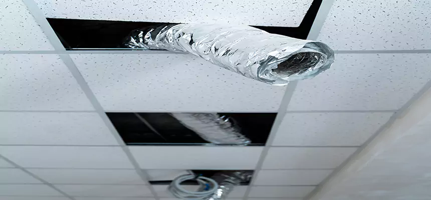 Our Air Duct Pet Hair Removal Services in Monrovia, CA