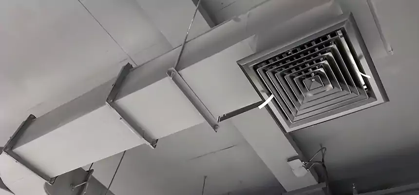 Restorative Allergy Relief Vent Cleaning – Coil, Blower & Housing Detail in Monrovia