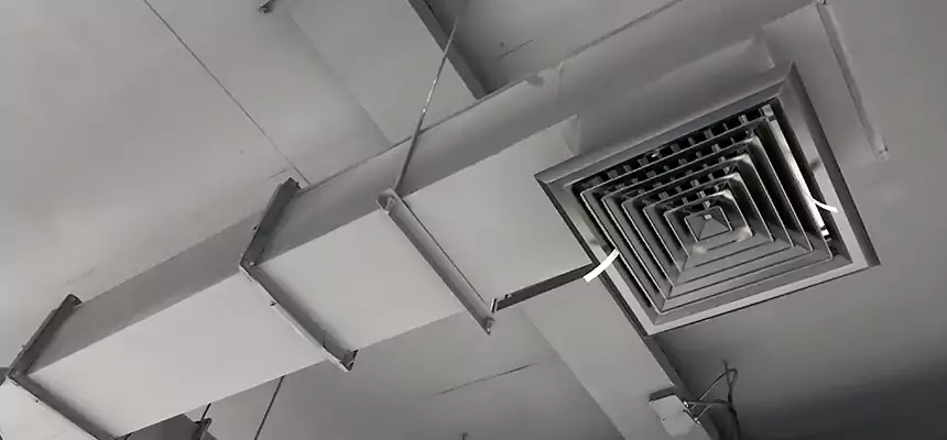 Our Rodent Droppings In Vents Services in Monrovia, CA