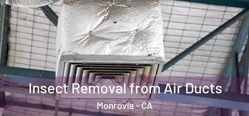  Insect Removal from Air Ducts Monrovia - CA