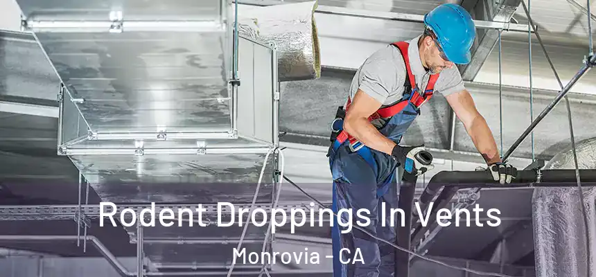  Rodent Droppings In Vents Monrovia - CA
