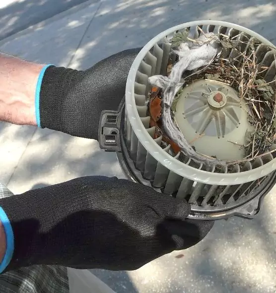 About Air Duct Rat Removal in Monrovia, CA