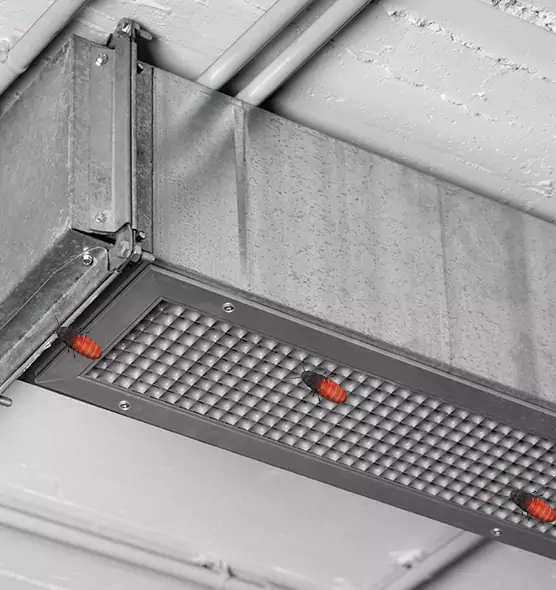 Affordable Insect Removal from Air Ducts in Monrovia, CA
