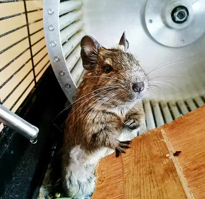 Why Homeowners & Businesses Trust Us Monrovia, CA