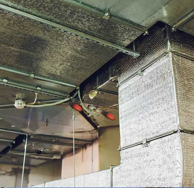 Why Homeowners & Businesses Trust Us Monrovia, CA?